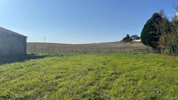 Terrain