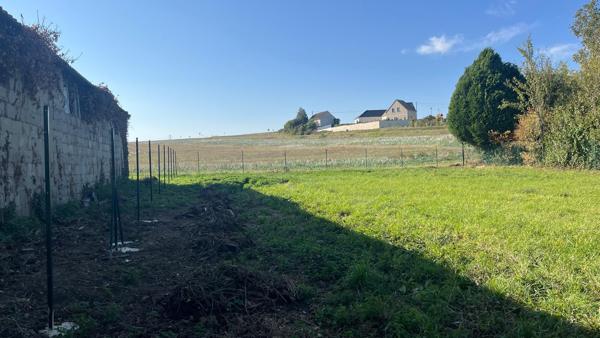 Terrain