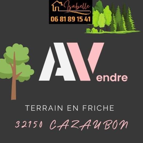 Terrain de loisir, plat avec des arbres.