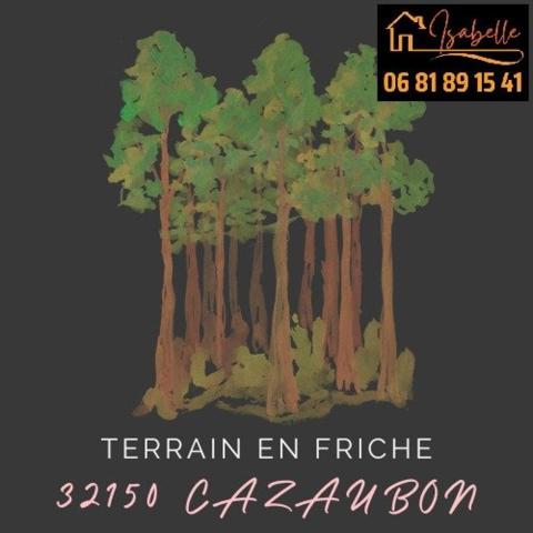 Terrain de loisir, plat avec des arbres.