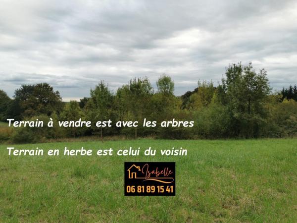 Terrain de loisir, plat avec des arbres.