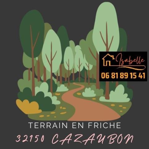 Terrain de loisir, plat avec des arbres.