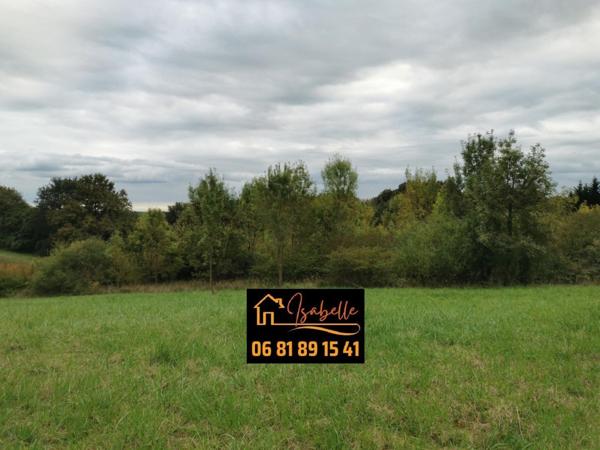 Terrain de loisir, plat avec des arbres.