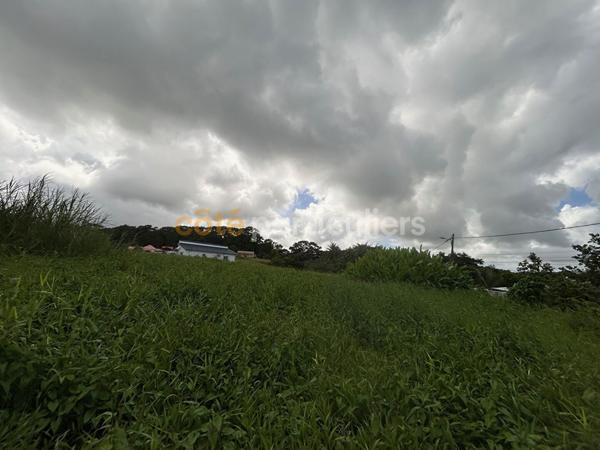 Vente Terrain654 m² - PETIT BOURG (97170)