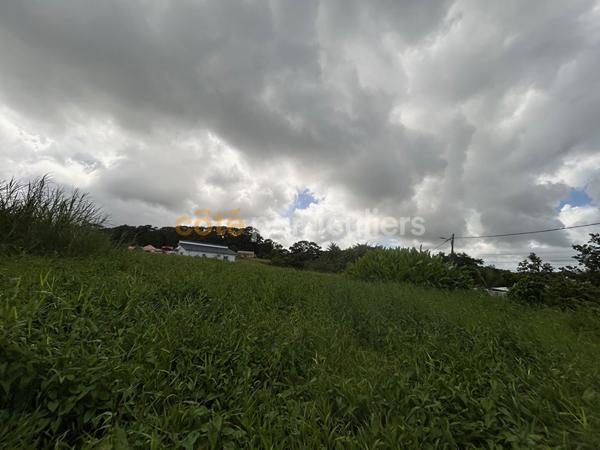 Vente Terrain633 m² - PETIT BOURG (97170)