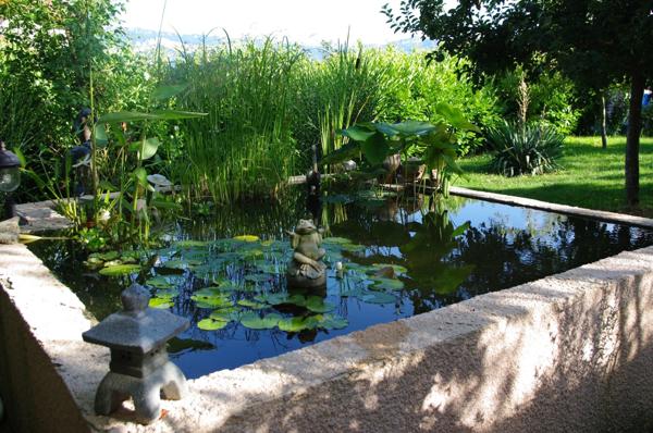 Maison individuelle à vendre - CRAS -  Proche Tullins. 3 chambres + bureau + local indépendant sur 1400 m² de terrain