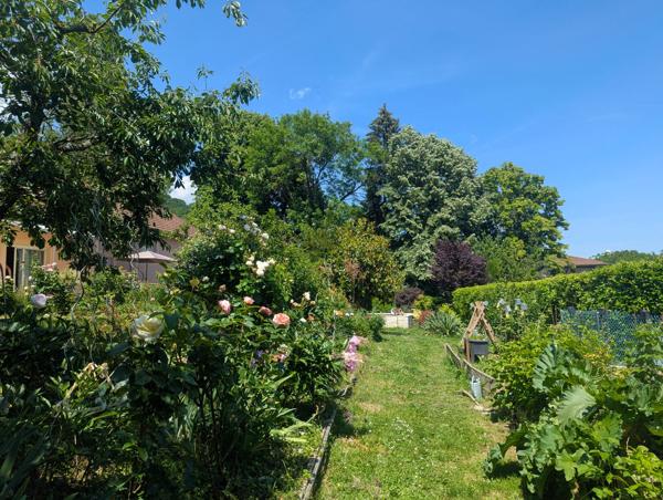 Maison individuelle à vendre - CRAS -  Proche Tullins. 3 chambres + bureau + local indépendant sur 1400 m² de terrain