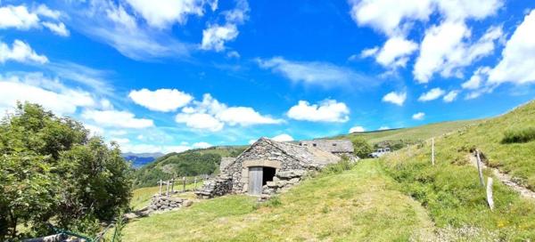 Vente / Maison