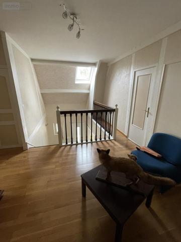 Maison à vendre à Ruaudin dans la Sarthe (72230), ref : 72009-1322