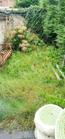 Vente Local commercial 7 pièces 200 m2 à Darnétal