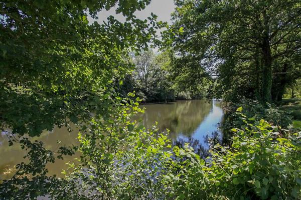 A VENDRE Terrains 2 prés de 12 453 m2 commune du Change à Bassillac et  Auberoche