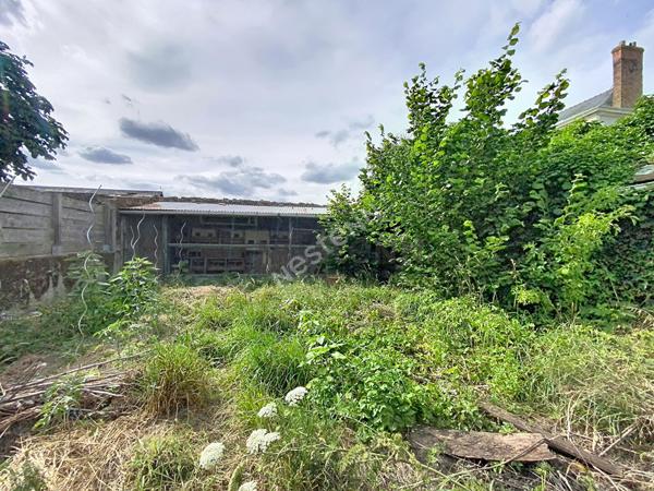 Appartement rénové au centre du Lion d'Angers - T2 idéal investissement