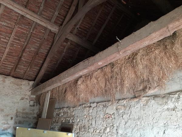 RARE. FERMETTE A RÉNOVER AVEC SES DÉPENDANCES ATTENANTES ET SON TERRAIN CLOS.