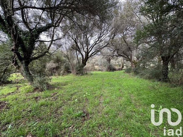 Terrain à vendre 1 452 m² Ocana