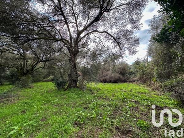 Terrain à vendre 1 452 m² Ocana