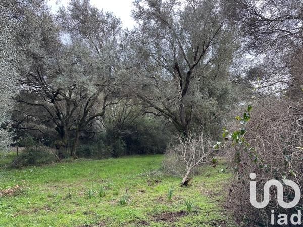 Terrain à vendre 1 452 m² Ocana