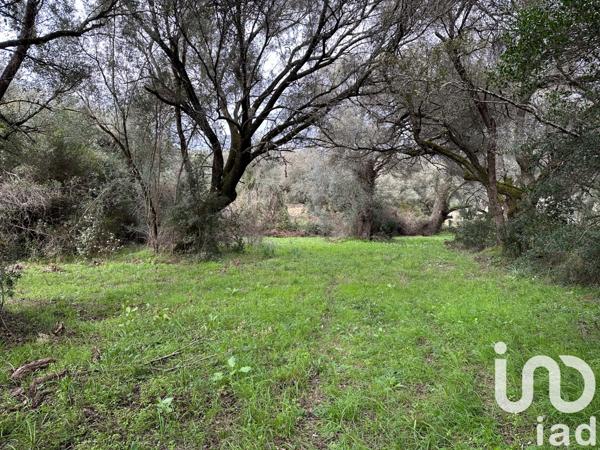 Terrain à vendre 1 452 m² Ocana