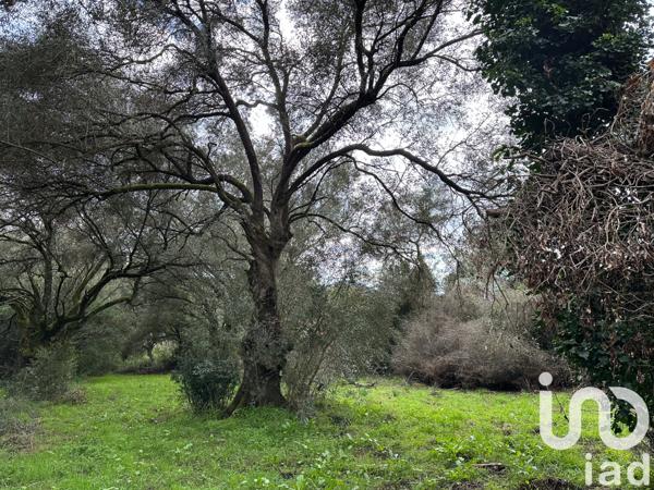 Terrain à vendre 1 452 m² Ocana