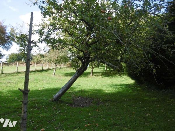 UNE JOLIE MAISON EN PIERRES ET COLOMBAGES, à rénover avec 1ha50a de TERRAIN