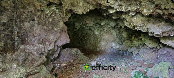 Maison 6 pièces - 160 m² Exclusivité efficity