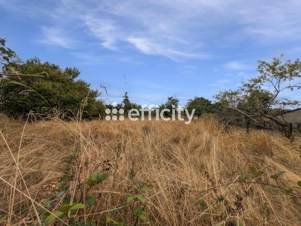 Maison 5 pièces - 132 m² Exclusivité efficity