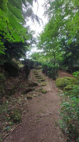 Bâtisse en pierre de 220 m² avec jardin - CLISSON