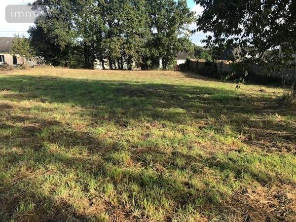 Terrain à Batir à vendre à Martigné-Ferchaud en Ille-et-Vilaine (35640), ref : 122/2809