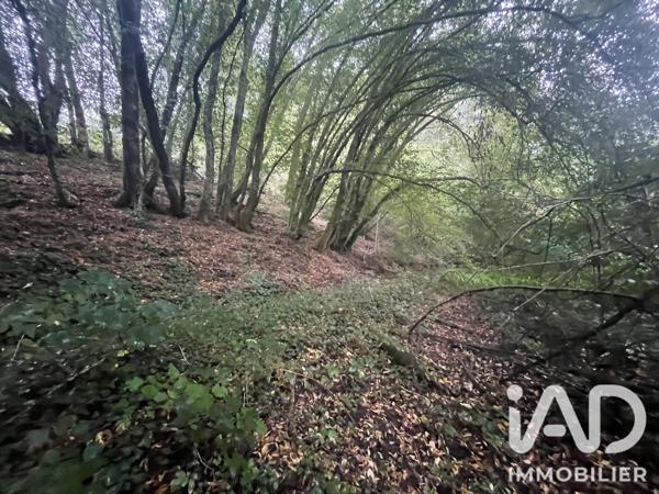 Terrain à vendre 4 275 m² Neuvic-Entier
