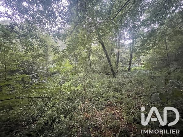 Terrain à vendre 4 275 m² Neuvic-Entier