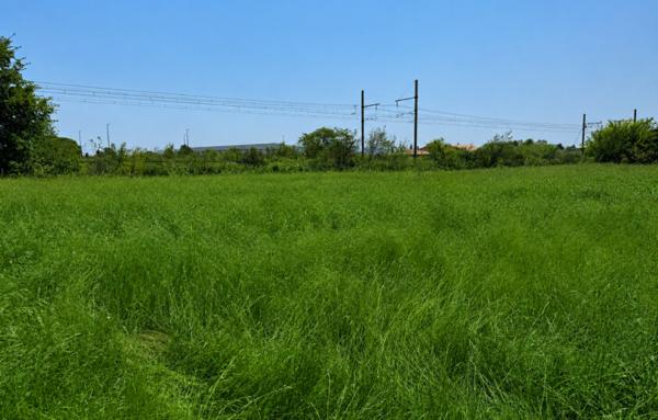Terrain à Batir de 538 m²