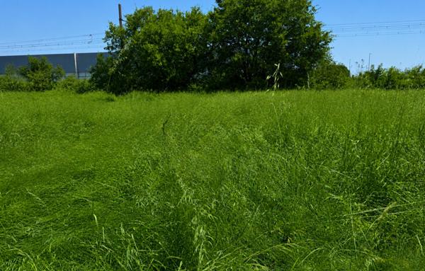 Terrain à Batir de 538 m²