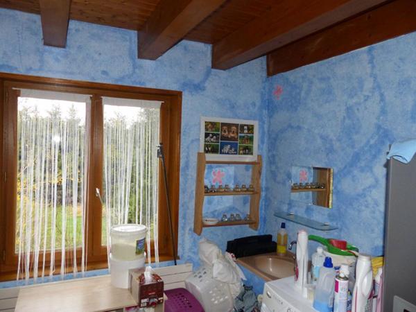 Maison Fay Sur Lignon 7 pièce(s) 199 m2