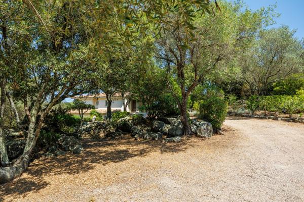 Maison à vendre  6 pièces - 200 m2 PORTO VECCHIO - 201