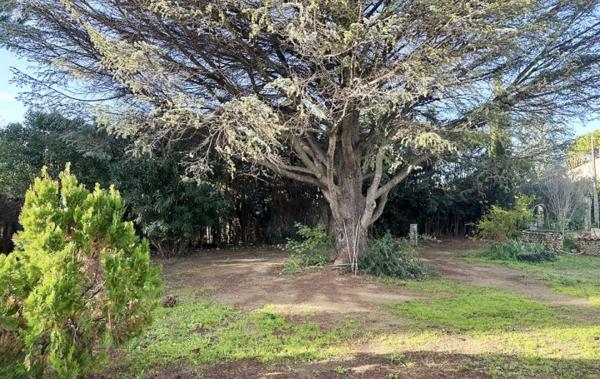 Vente Villa à rafraîchir Saint-andre-de-sangonis   