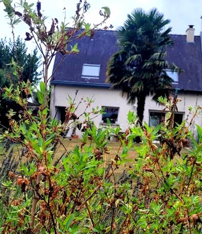 Maison à vendre 5 pièces PLUNERET 56400 Morbihan Bretagne Sud