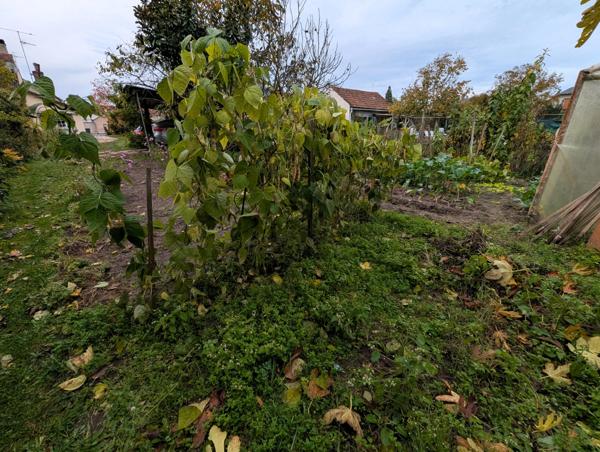 Vente en exclusivité – Maison ancienne typique avec jardin dans le centre de Vitry-aux-Loges
