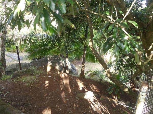 Maison à restaurer à vendre à La-Montagne à la Réunion (97417), ref : 97405/184