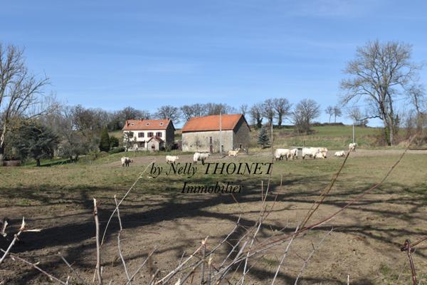 Dontreix (23700) Dépt.23. DONTREIX, ANCIEN CORPS DE FERME en pierre, 7 pièces, dépendances, terrain de 14 276 m2