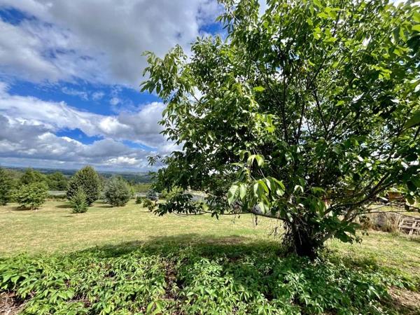 Terrain à vendre |  Sainte-Féréole |  1714 m²