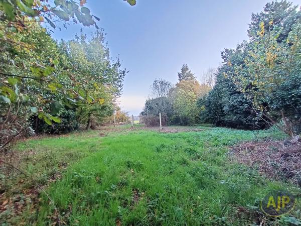 Vente terrain Lantillac : 19 500 € - AJP Immobilier Plumelec