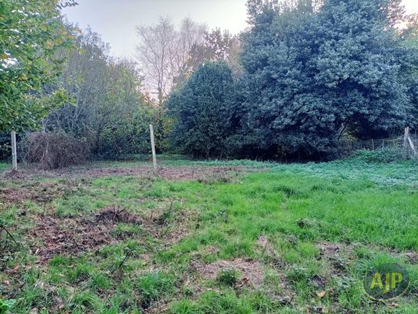 Vente terrain Lantillac : 19 500 € - AJP Immobilier Plumelec