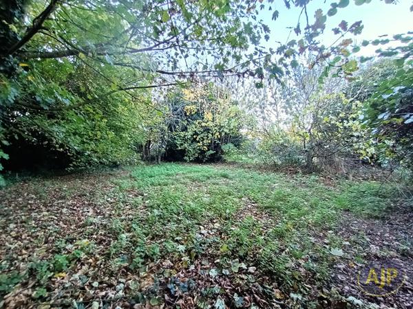 Vente terrain Lantillac : 19 500 € - AJP Immobilier Plumelec