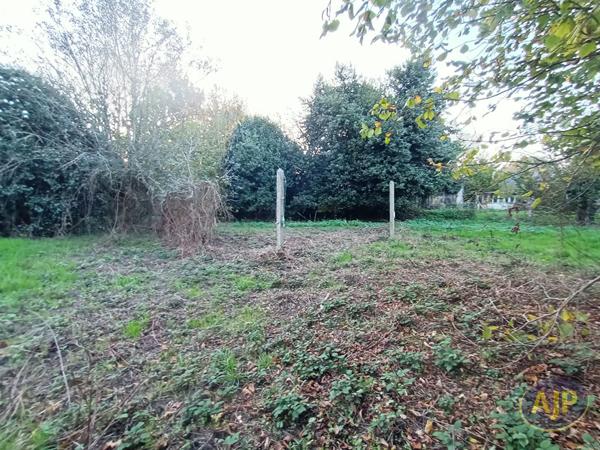 Vente terrain Lantillac : 19 500 € - AJP Immobilier Plumelec