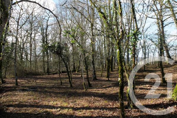 Terrain à vendre  1540 m 2   CALVIAC EN PERIGORD  - 24