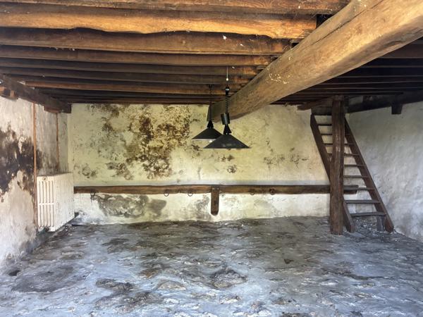 Maison briarde INVESTISSEMENT - A RENOVER - A DIVISER - A AIMER , 2973m² Terrain " A BATIR" - A DIVISER