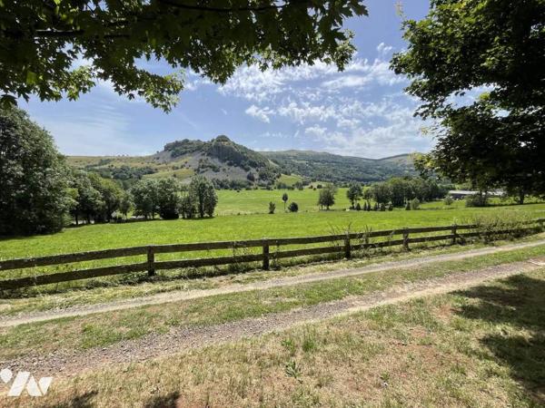 Belle Maison en pierre avec grange sur 1ha5