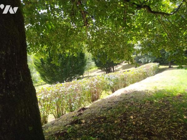 Belle Maison en pierre avec grange sur 1ha5