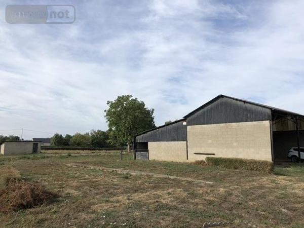 Maison à vendre à Soulaire-et-Bourg dans le Maine-et-Loire (49460), ref : 49031-2779