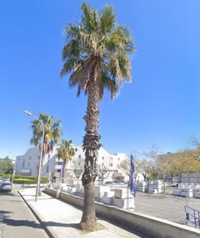 Local commercial à usage mixte - Occupé - Coeur du centre ville de HYERES