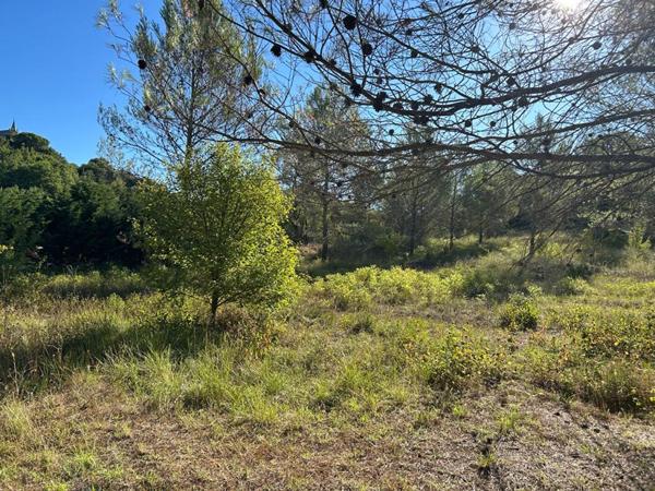 Terrain Tourves 2798 m2